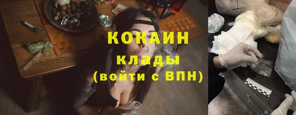 крисы Липки