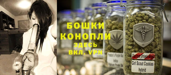 крисы Липки